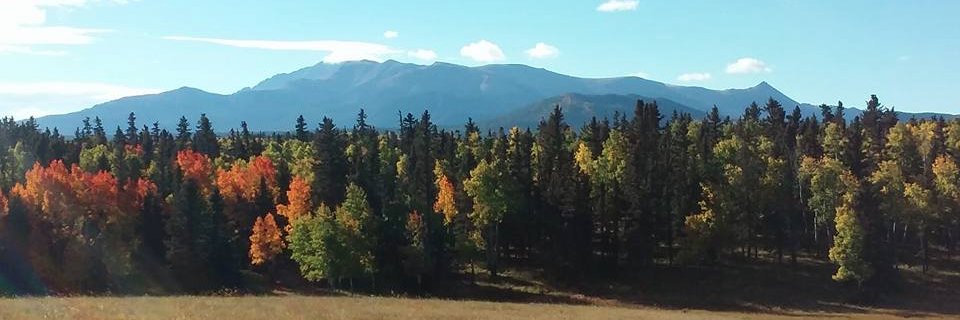 Brucified's profile banner image