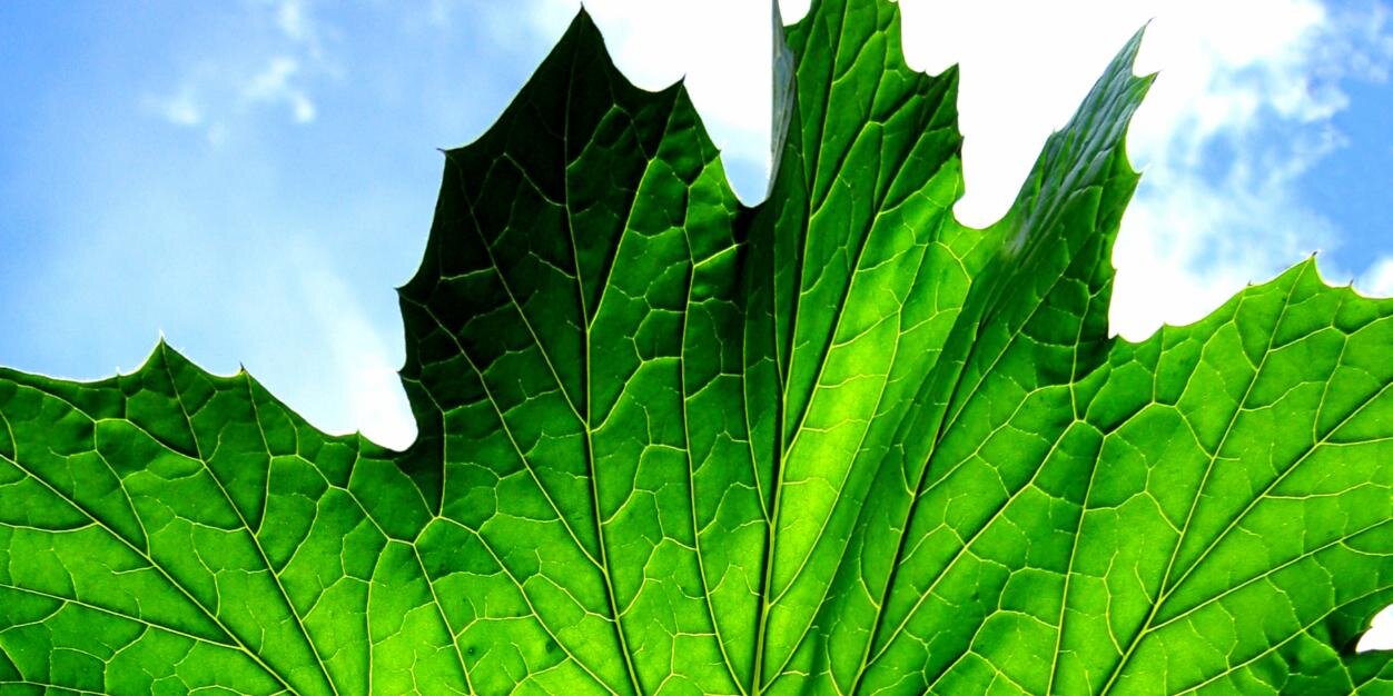 elementalenergy's profile banner image