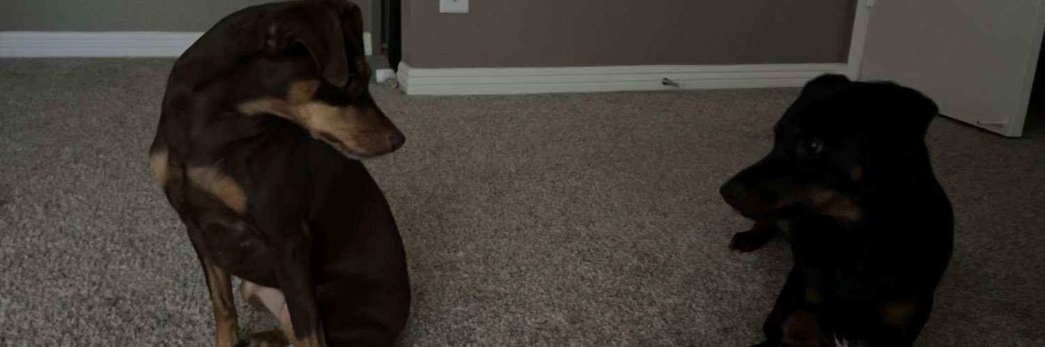 ramirez_blue's profile banner image