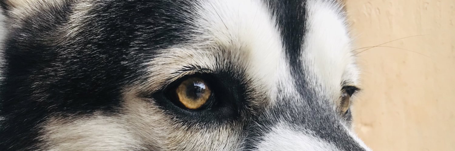 DoomeeSolorzano's profile banner image