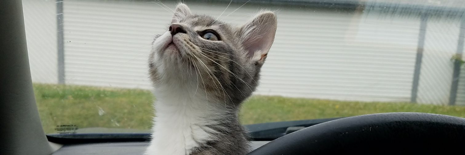 DestineeC96's profile banner image