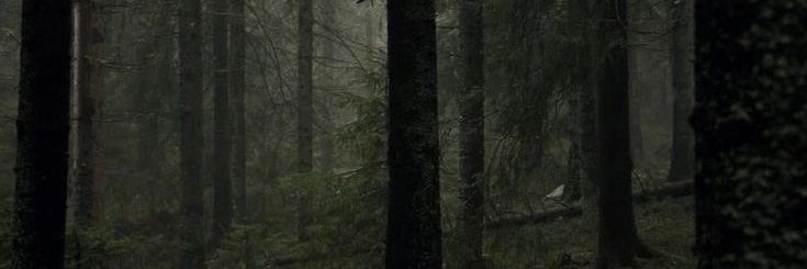 Sam Winchester of shtwt !? banner