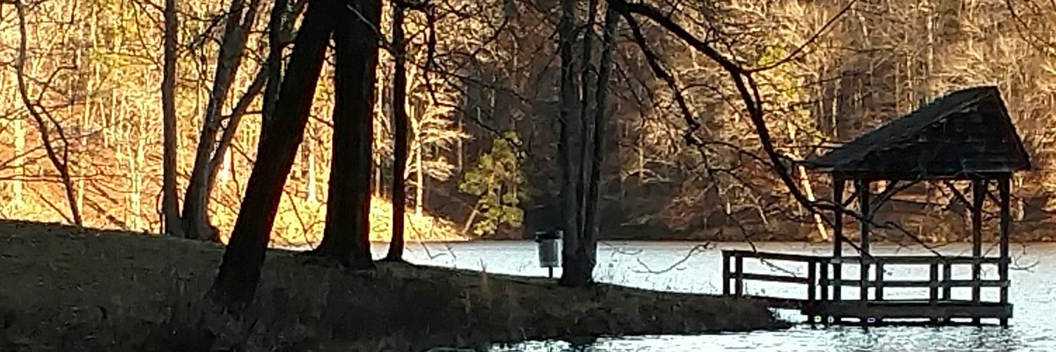 Justice Ninja banner