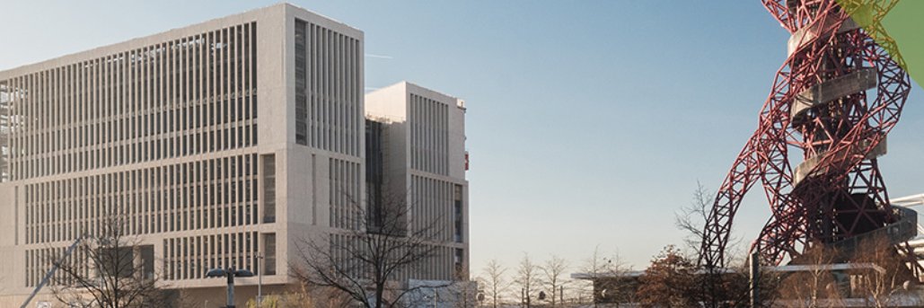 David Palomas banner