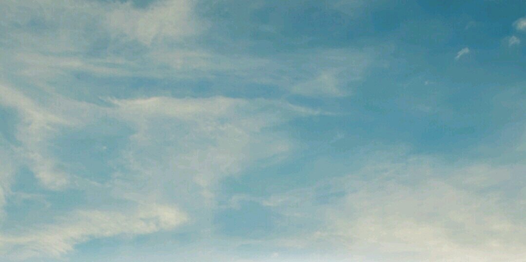 YtscNv's profile banner image