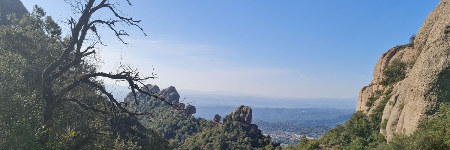 Manel RiVero Rossi 🌻🌱☀️ banner