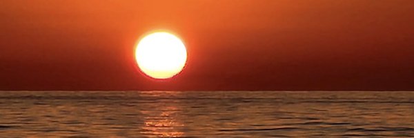 lisalovesshells Profile Banner