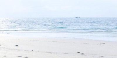niallspeasant's profile banner image