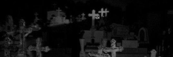 bru1sem3 Profile Banner