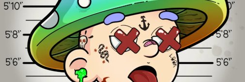 BearCo banner