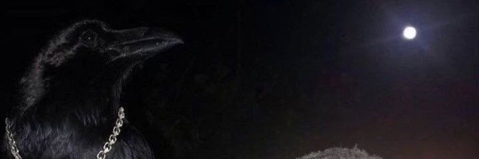 4Ø4 (visitor) banner