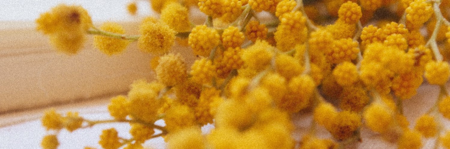 Sun1488's profile banner image
