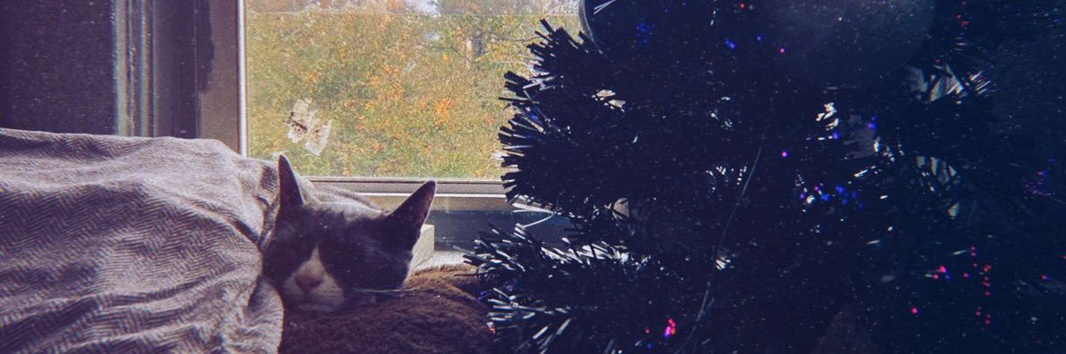 BayyVee's profile banner image