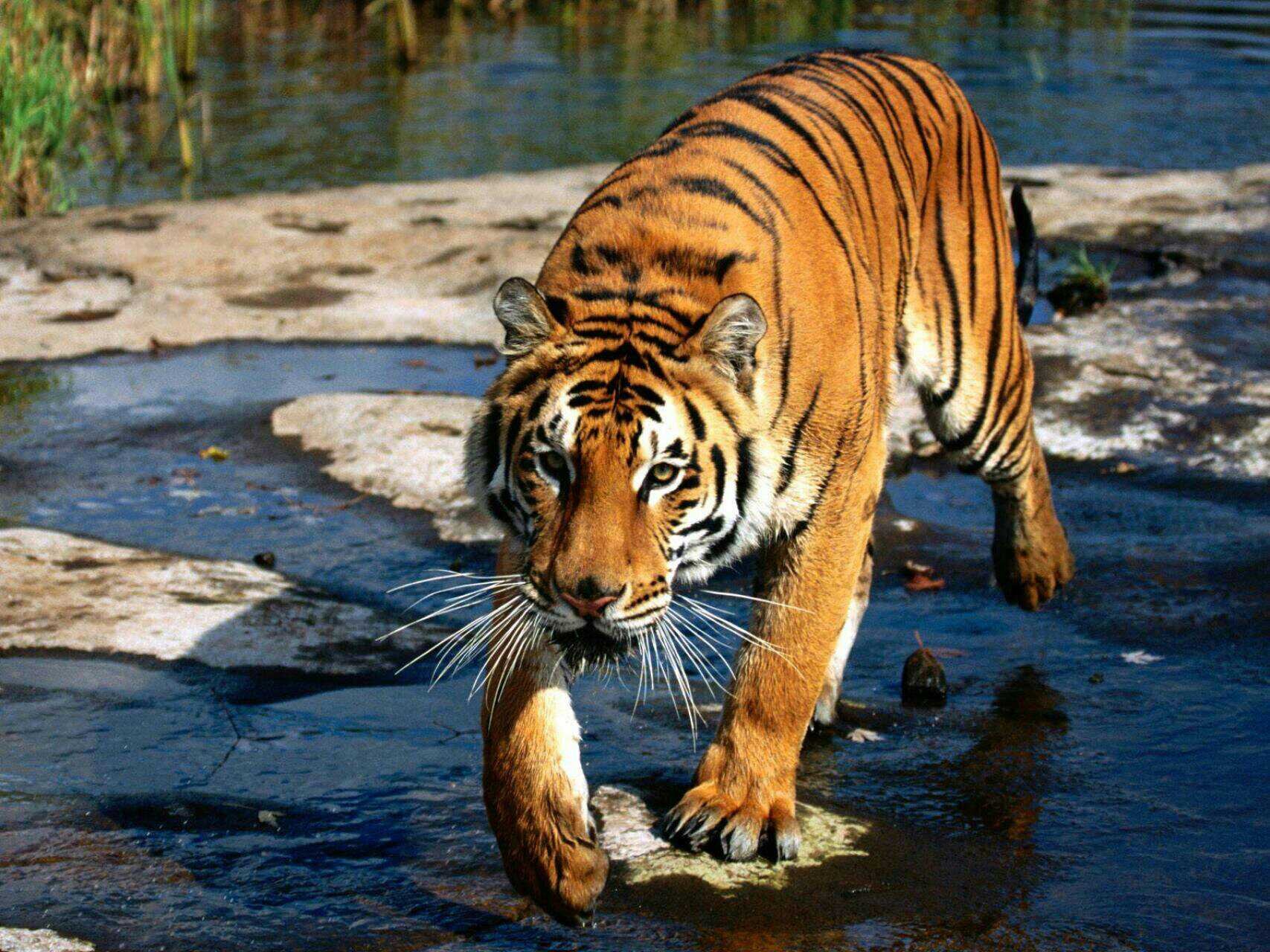 pascal_tinou's profile banner image