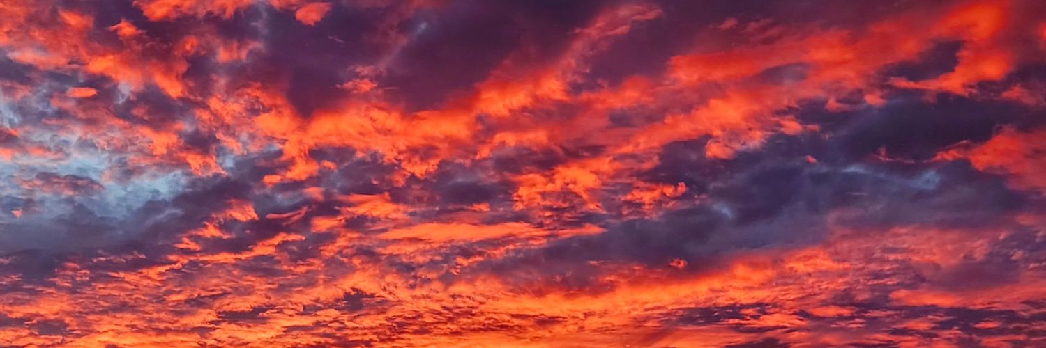 Matthias Schleuning banner