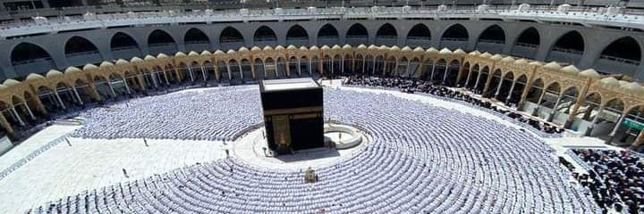 محمد سيداهل banner