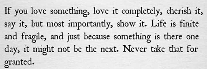 Angelle of the North banner