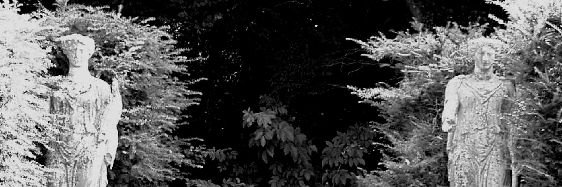 advisorymatters's profile banner image