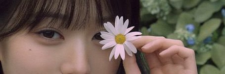 ala banner