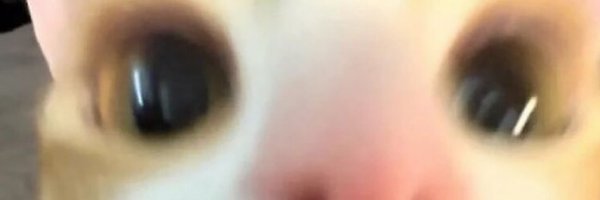 2ndFrook Profile Banner