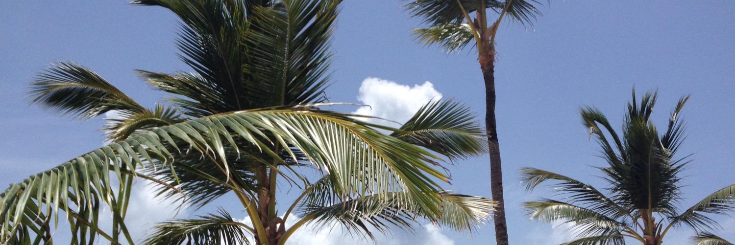 8_mnash's profile banner image
