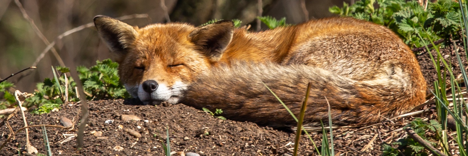 LynnSampson68's profile banner image