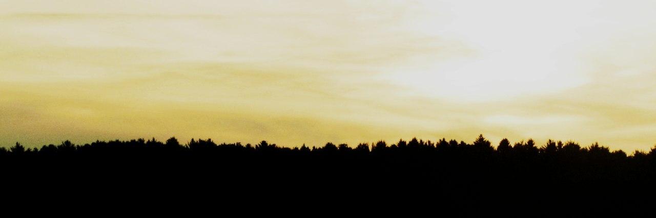loooser0665's profile banner image