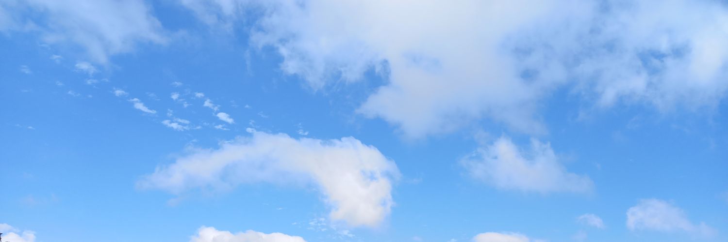 sera banner