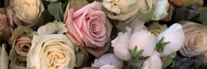 RamonaSaviss's profile banner image