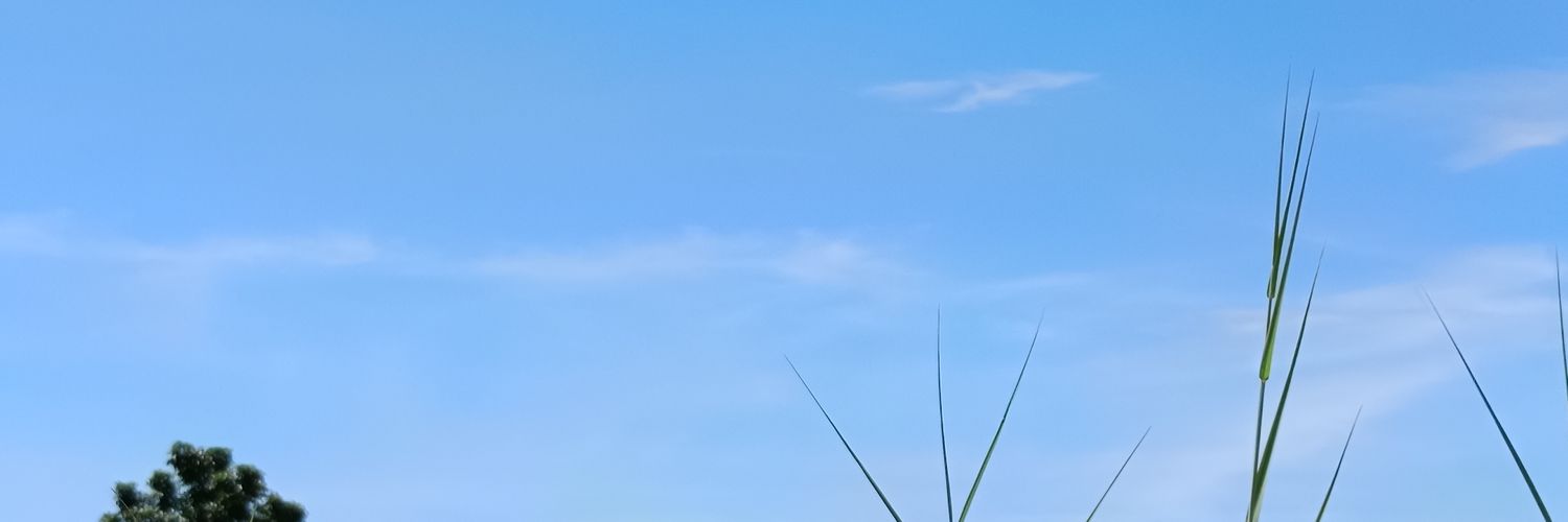 93 banner