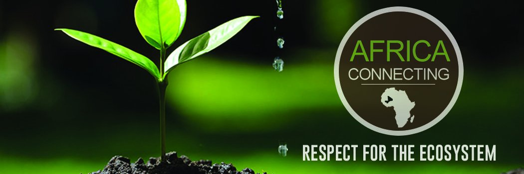 Elche223's profile banner image