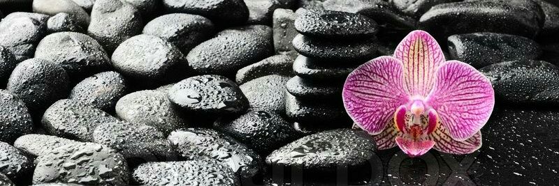 atirajonit's profile banner image