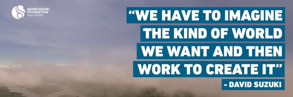 Venessa MacDowell banner