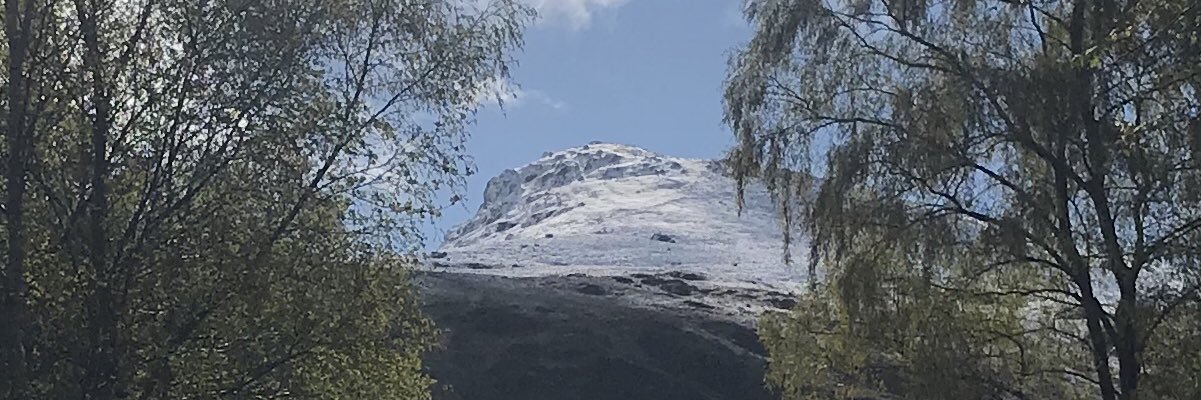 StewBirdy's profile banner image