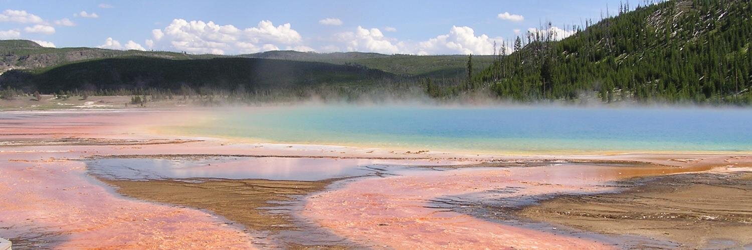 Christopher Coleman (@mellowfish@ruby.social) banner