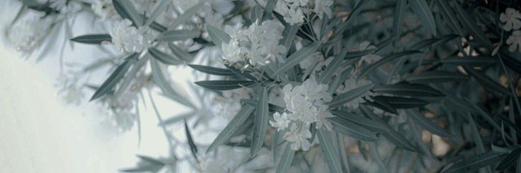 1029 banner