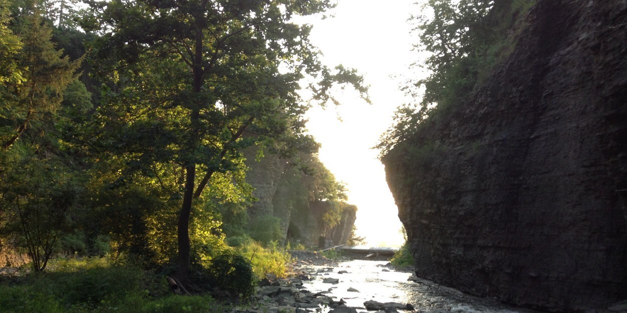 Daniel Hanggi banner