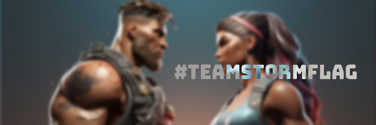 teamstormflag's profile banner image