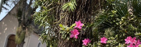 tamyamarillaf Profile Banner