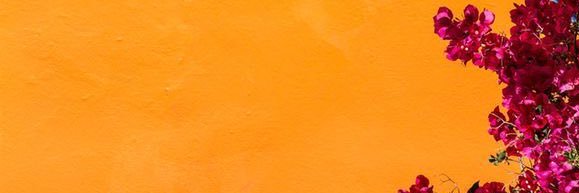lillaypop's profile banner image