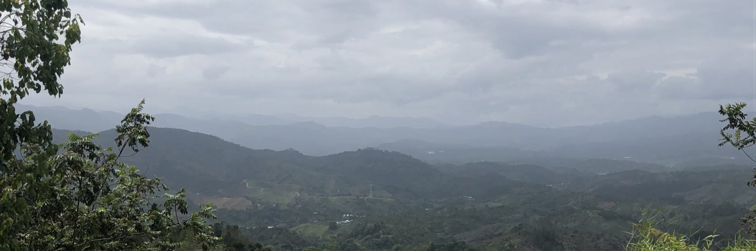 prrantipastica's profile banner image