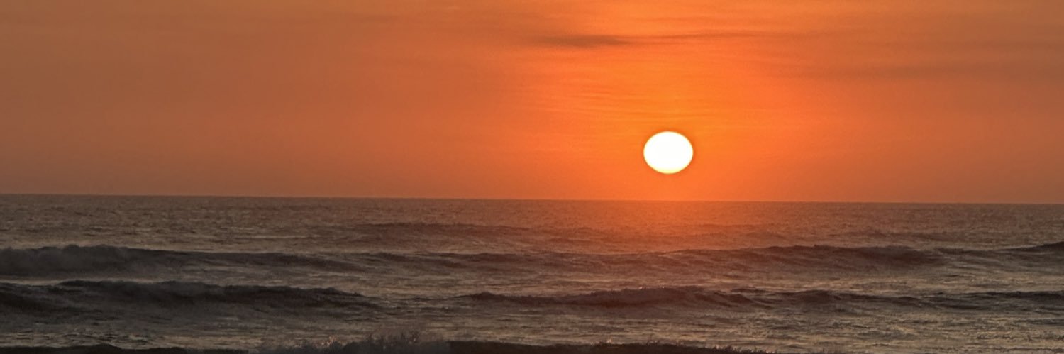 valelucone's profile banner image