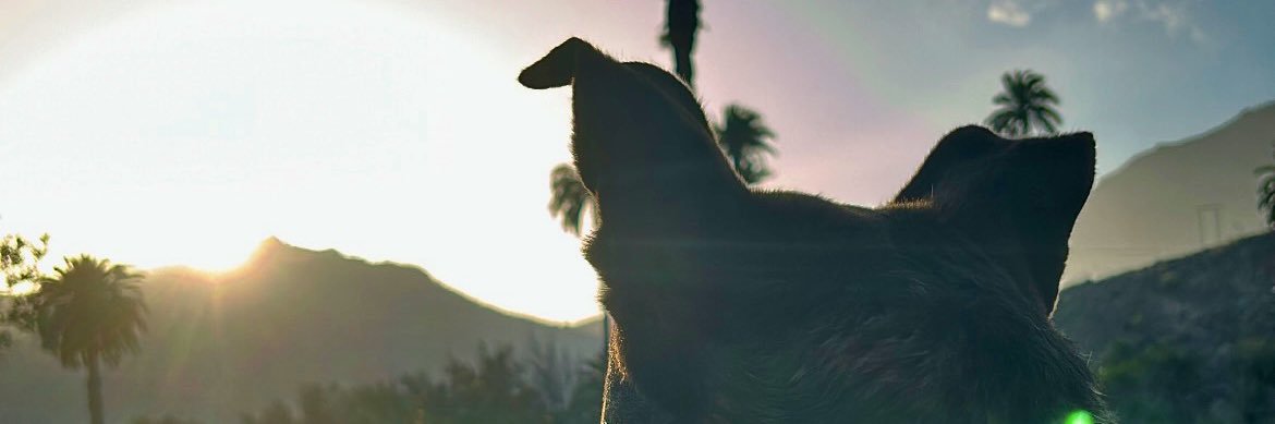 aaronDG99's profile banner image