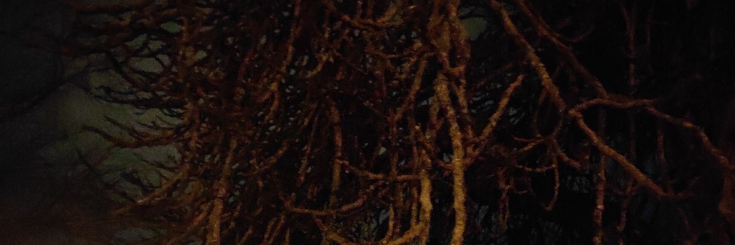 darrenroig's profile banner image