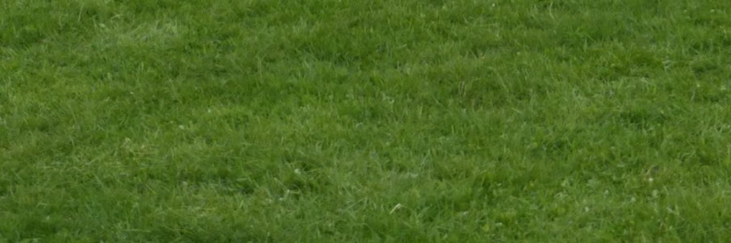 lukemillar_'s profile banner image