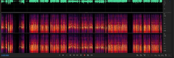 _Bukaru Profile Banner