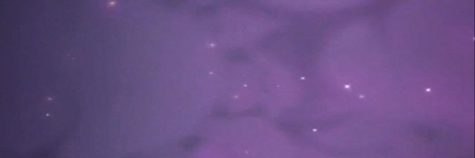 𝒃𝒖𝒍𝒍𝒆𝒕𝒔 & 𝒃𝒊𝒕𝒆𝒔 banner