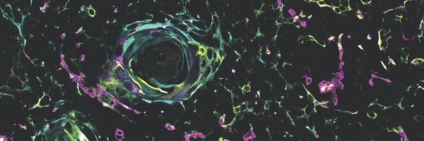 RobertaRag80163 Profile Banner