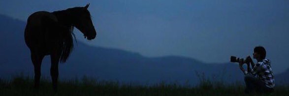 LisaRobertsER1's profile banner image