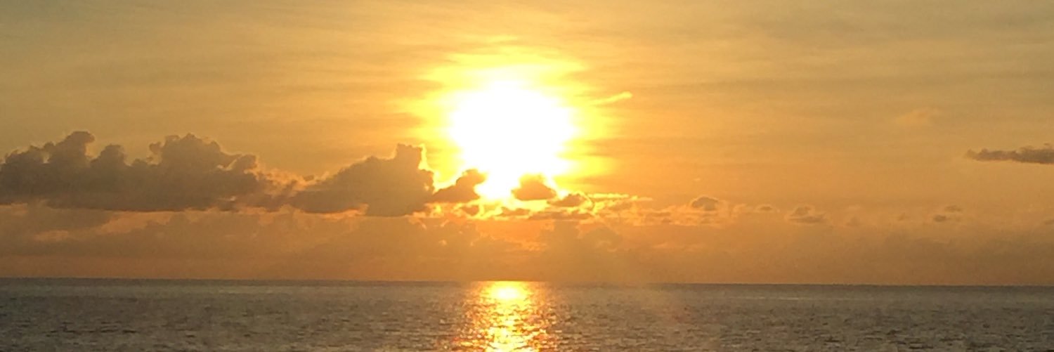 RentedNinja's profile banner image